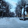 Emergenza neve 2012